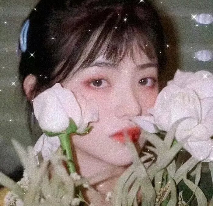 阴谋诡计